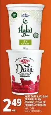 Metro HANS DAHI, KAAS DAHI OR HALAL PLAIN YOGOURT, CEDAR OR PHOENICIA YOGOURT offer