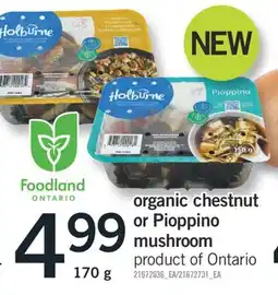 Fortinos ORGANIC CHESTNUT OR PIOPPINO MUSHROOM, 170 g offer