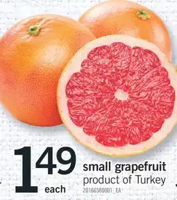 Fortinos SMALL GRAPEFRUIT offer