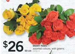 Fortinos DOZEN ROSES, 50 CM offer