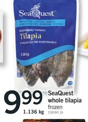 Fortinos SEAQUEST WHOLE TILAPIA, 1.136 kg offer