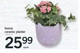 Fortinos BUNNY CERAMIC PLANTER offer