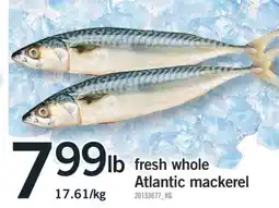 Fortinos FRESH WHOLE ATLANTIC MACKEREL offer