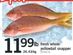 Fortinos FRESH WHOLE YELLOWTAIL SNAPPER offer