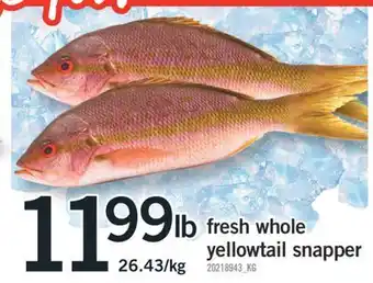 Fortinos FRESH WHOLE YELLOWTAIL SNAPPER offer