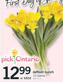 Fortinos DAFFODIL BUNCH offer