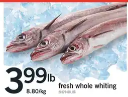 Fortinos FRESH WHOLE WHITING offer