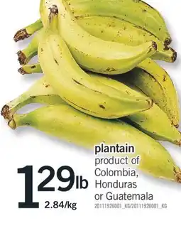 Fortinos PLANTAIN offer