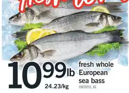 Fortinos FRESH WHOLE EUROPEAN SEA BASS offer