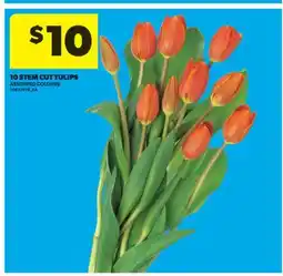 Real Canadian Superstore 10 STEM CUT TULIPS offer