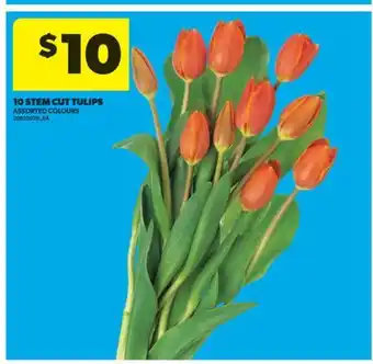 Real Canadian Superstore 10 STEM CUT TULIPS offer