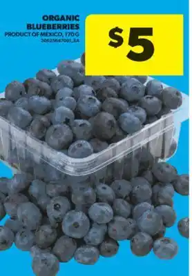 Real Canadian Superstore ORGANIC BLUEBERRIES, 170 G offer