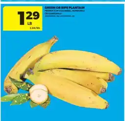 Real Canadian Superstore GREEN OR RIPE PLANTAIN offer