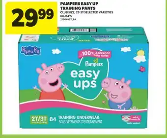 Real Canadian Superstore PAMPERS EASY UP TRAINING PANTS, 66-84' S offer