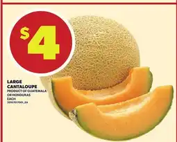 Loblaws LARGE CANTALOUPE offer