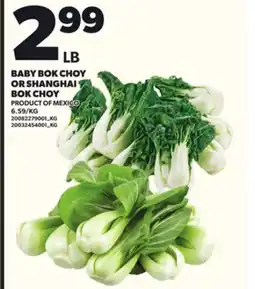 Loblaws BABY BOK CHOY OR SHANGHAI BOK CHOY offer