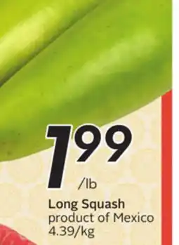 Sobeys Long Squash offer