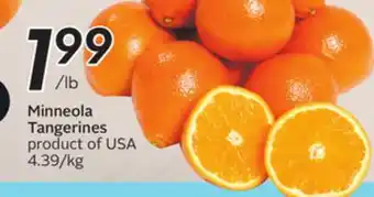 Sobeys Minneola Tangerines - Citrus Fest offer