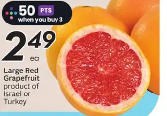 Sobeys Large Red Grapefruit - Citrus Fest offer