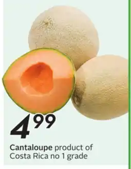 Sobeys Cantaloupe offer