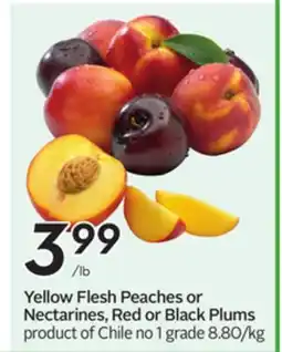 Sobeys Yellow Flesh Peaches or Nectarines, Red or Black Plums offer