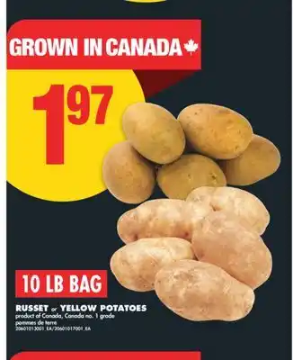 No Frills RUSSET OR YELLOW POTATOES, 10 LB BAG offer