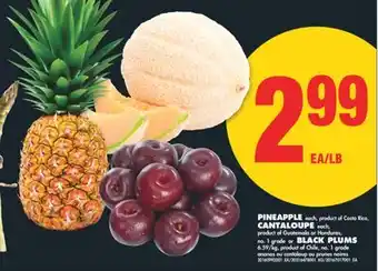 No Frills PINEAPPLE each, CANTALOUPE each, BLACK PLUMS offer