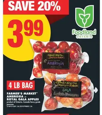 No Frills FARMER'S MARKET AMBROSIA or ROYAL GALA APPLES, 4 LB BAG offer