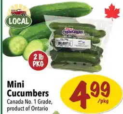 Farm Boy Mini Cucumbers offer