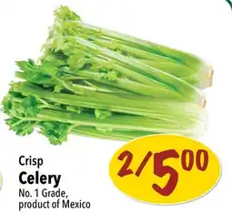 Farm Boy Crisp Celery offer