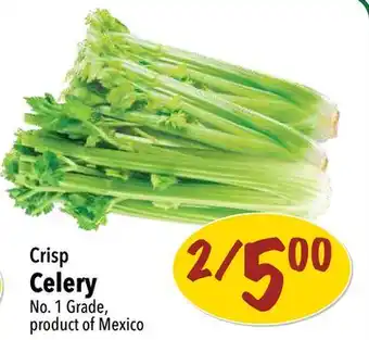 Farm Boy Crisp Celery offer