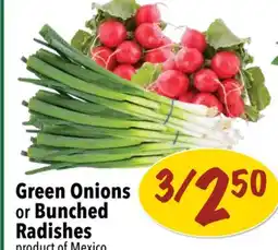 Farm Boy Green Onions or Bunched Radishes offer