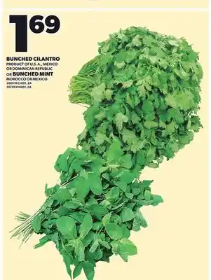 Loblaws BUNCHED CILANTRO OR BUNCHED MINT offer