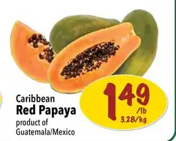 Farm Boy Caribbean Red Papaya offer