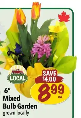 Farm Boy 6 Mixed Bulb offer