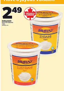 Loblaws SURAJ DAHI, 750 G offer