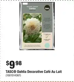 Home Depot TASC Dahlia Decorative Café Au Lait offer