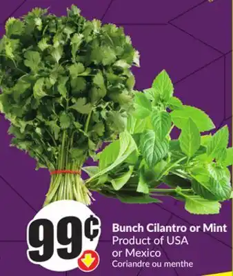 Chalo FreshCo Bunch Cilantro or Mint Product of USA or Mexico offer