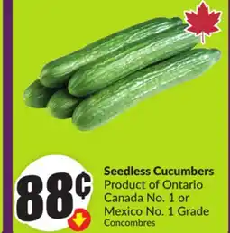 Chalo FreshCo Seedless Cucumbers Product of Ontario Canada No. 1 or Mexico No. 1 Grade offer