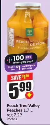 Chalo FreshCo Peach Tree Valley Peaches 1.7 L offer