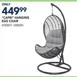 RONA CAPRI HANGING EGG CHAIR offer