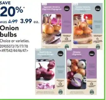 RONA Onion bulbs offer