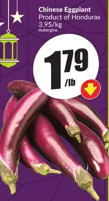 FreshCo Chinese Eggplant Product of Honduras 3.95/kg offer