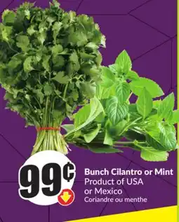 FreshCo Bunch Cilantro or Mint Product of USA or Mexico offer