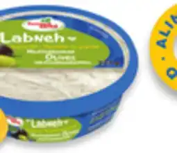 Walmart Fontaine Sante Hummus or Dips offer