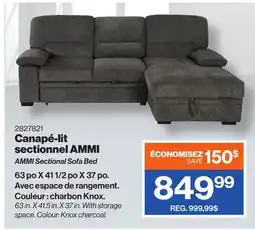 Patrick Morin AMMI Sectional Sofa Bed offer