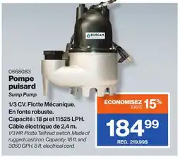 Patrick Morin Sump Pump offer