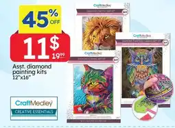 Rossy Asst. diamond painting kits 12''x16'' offer