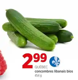 Avril Concombres libanais bios offer