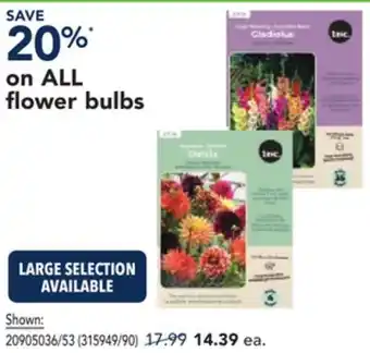 RONA ALL flower bulbs offer